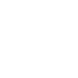 flash